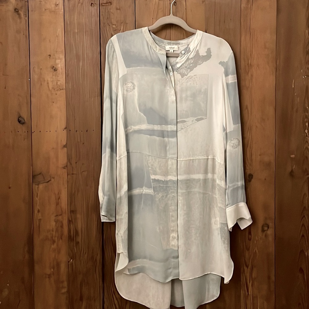Aritzia Wilfred Bossut silk dress